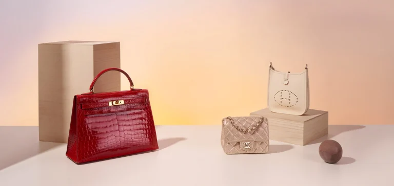 Chanel and hermes bag