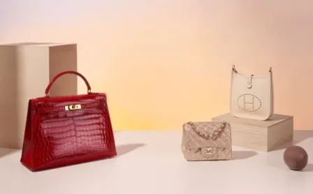 Chanel and hermes bag