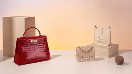 Chanel and hermes bag